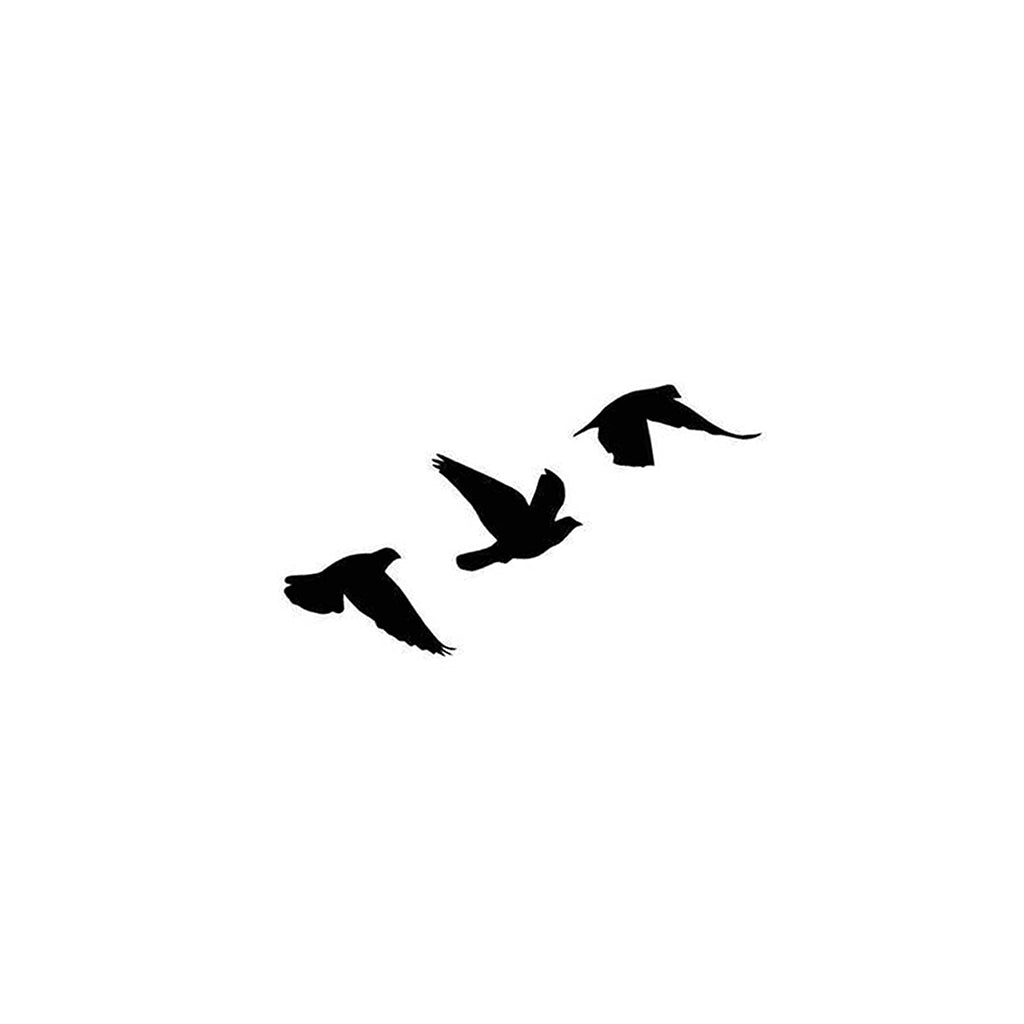 Soaring Birds – Semi Permanent Tattoo