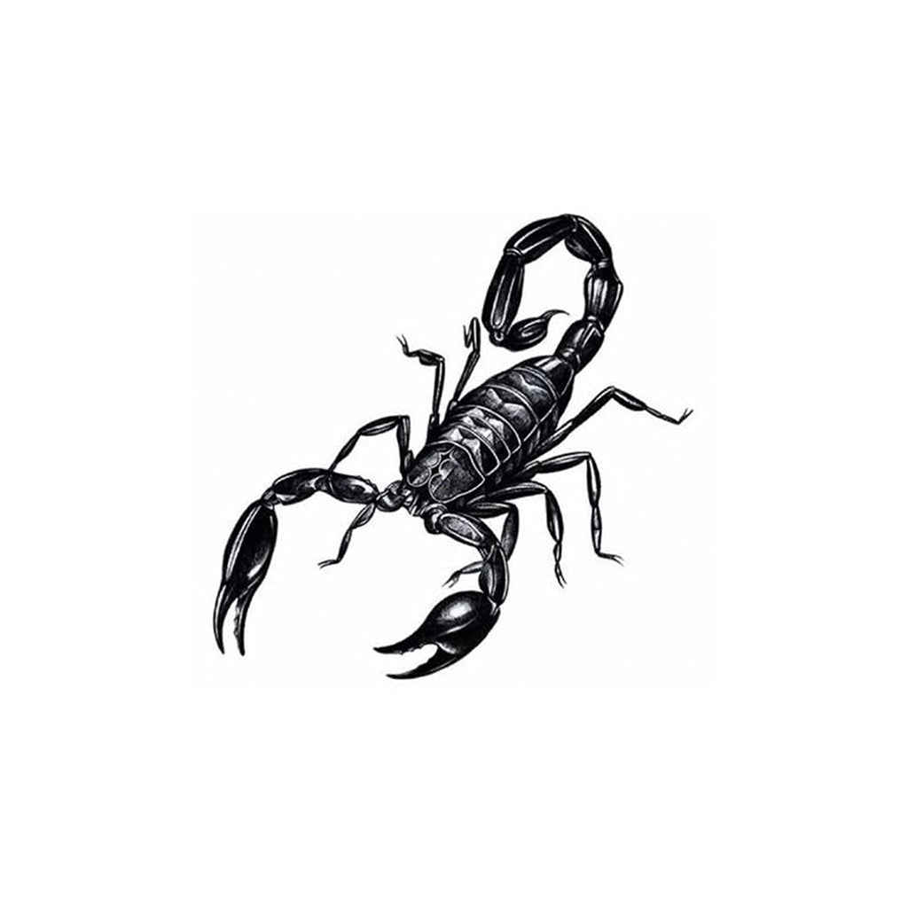 Scorpion – Semi Permanent Tattoo