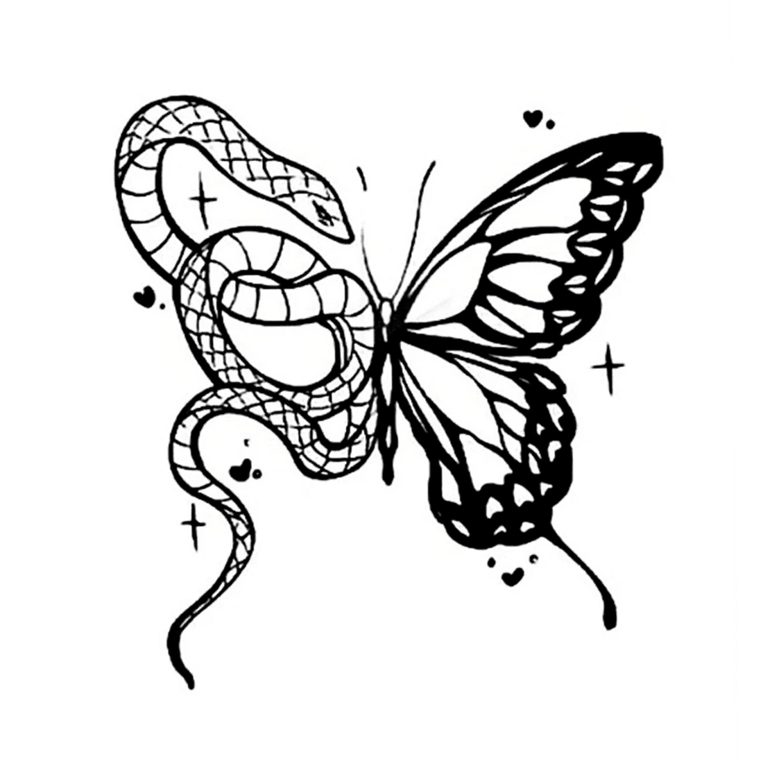 A dangerous Butterfly
