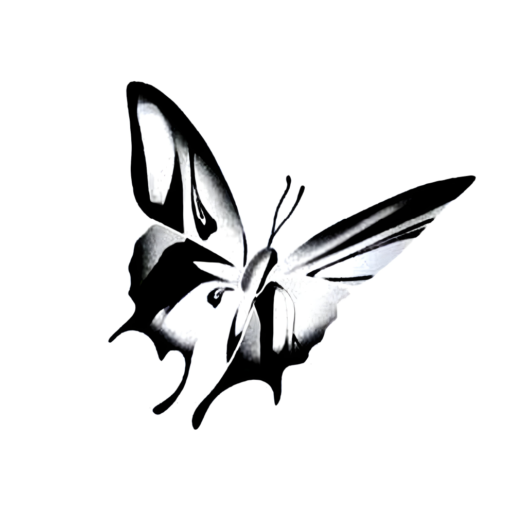 BEAUTIFUL BUTTERFLY